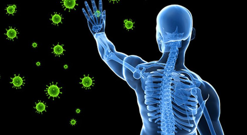 493ss_thinkstock_rf_Immune_system_concept