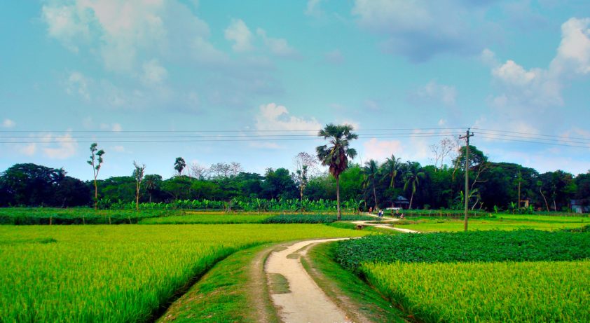 Country-Road-BD